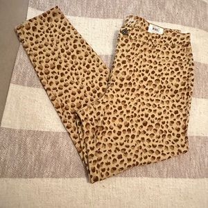 Style & Co Curvy Fit Skinny Pant